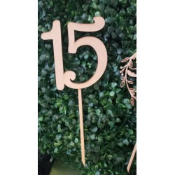topper 15